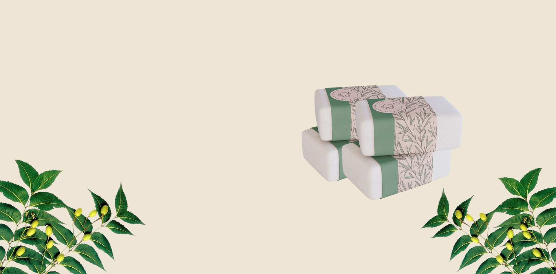 descubra os benefícios